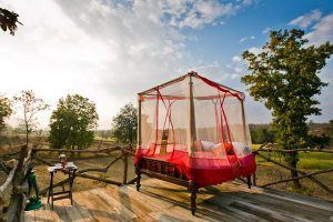 Jamtara Wilderness Camp_Starbed, starbed India