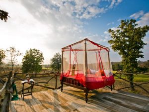 Jamtara Wilderness Camp_Starbed, starbed India