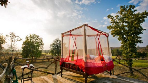 Jamtara Wilderness Camp_Starbed