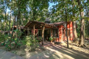 Kanha Jungle Lodge, bungalow India