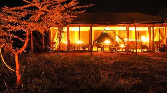 Basecamp Wilderness Camp