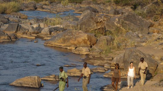 Wandelsafari bij Mkulumadzi Lodge