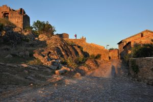 Castelo Rodrico, reis Faia Brava