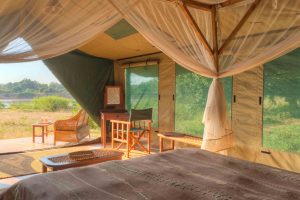 glamping South Luangwa National Park, glamping Zambia