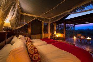 Busanga Bush Camp, Kafue
