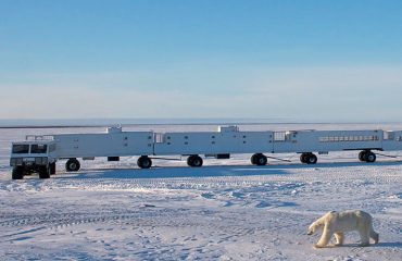 Ijsberen bij de Tundra Buggy Lodge ©Frontiers-North-Adventures