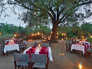 Reni Pani Jungle hotel, hotel Satpura Tiger Reserve
