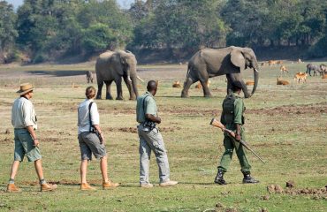 Walking Safari South Luangwa