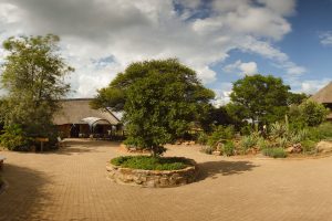 Cheetah View Lodge, CCF