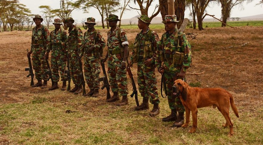 Dog Patrol Unit Lewa