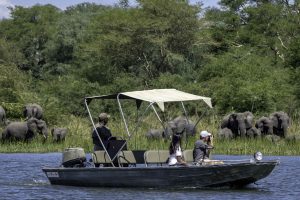 bootsafari, kuthengo, liwonde