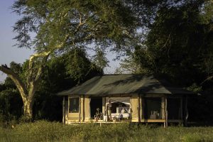 kuthengo, liwonde, tented camp
