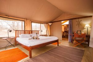 Kwihala Camp, Ruaha NP