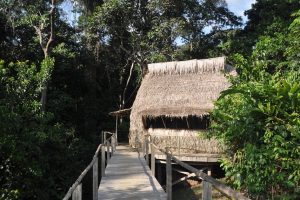 Ngaga Camp, Congo, Odzala