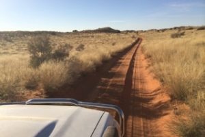 Onderweg in Kgalagadi
