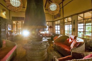 Virunga Lodge Rwanda, gorilla trekking, mountain gorilla, reis rwanda gorilla tracking, volcanoes