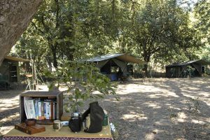 Mobile tented camp, wandelsafari, walking safari, Robin Pope
