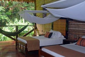 Refugio Amazonas, lodge Amazone, Peru