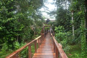 Refugio Amazonas, lodge Amazone, Peru