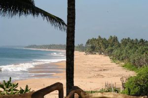 turtle bay, tangalle, sri lanka