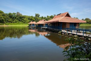 Uakari Lodge, reis jaguar