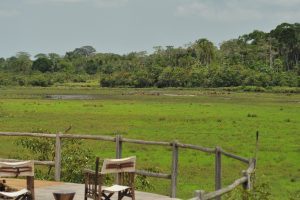 Lango Bai, Congo, Odzala