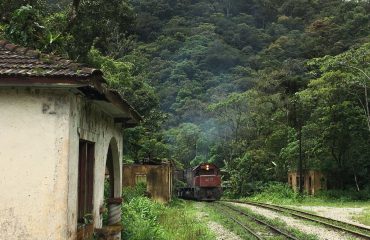 Atlantic Rainforest by train
