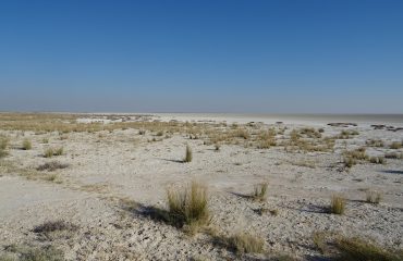 Etosha Pan ©All for Nature Travel