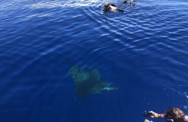 Manta Catalog snorkelen op Santa Maria