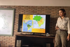 Caiman Refugio Ecologico Baiazinha, reis pantanal, jaguar reis, oncafari