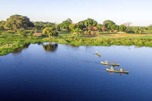 Caiman Lodge, Oncafari project , jaguar research