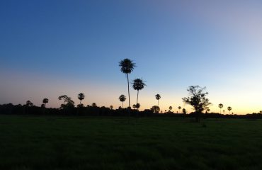 Zonsondergang in de Pantanal