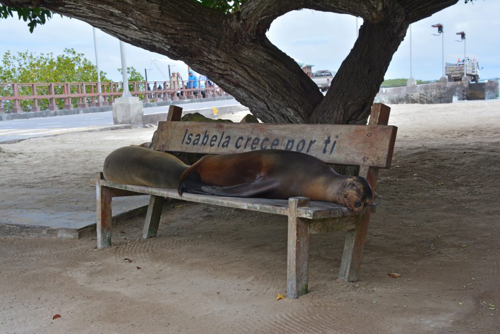 Galapagos reis, Galapagos avontuur