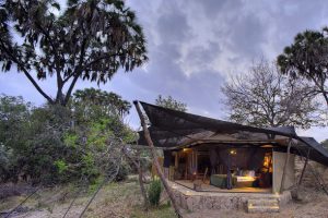 safari Tanzania, safari Selous NP, Selous