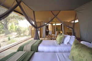 safari Tanzania, safari Selous NP, Selous