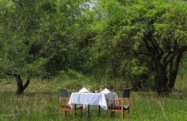 Dinner in the Bush Mahoora