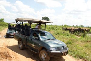 Mahoora Tented Camps, Mahoora Camp Yala, Mahoora Udawalawe, Mahoora Yala, safari Sri Lank