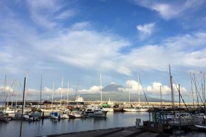 Haven Horta
