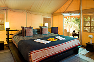 Khem Villas Ranthambore, tijgersafari