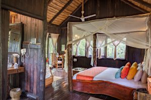 pugdundee, treehouse hideaway, bandavgarh, tijgersafari, safari bandavgarh