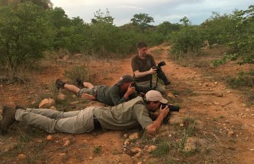 Op safari met de onderzoekers