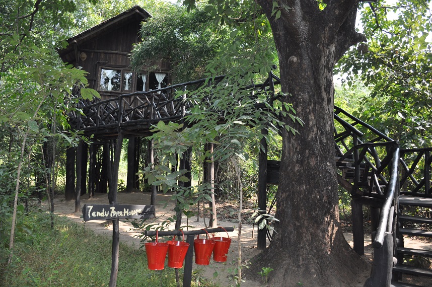 pugdundee, treehouse hideaway, bandavgarh, tijgersafari, safari bandavgarh