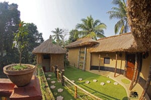 Baghrol Basa, viskat reis, tijgersafari, baghrol basa reis