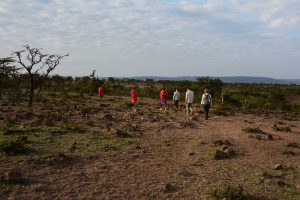 safari masai mara, reis basecamp, wildlife masai mara, walking