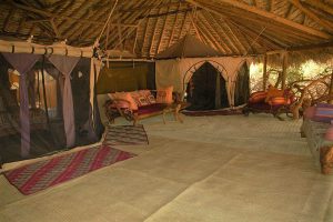 Elephant Watch Camp safari, reis kenia,save the elephants, safari samburu