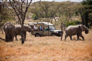 Mara Basecamp, safari masai mara