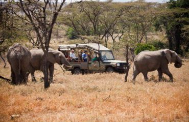 Basecamp game drive