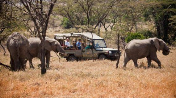 Basecamp game drive