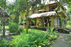 Baghrol Basa, viskat reis, tijgersafari, baghrol basa reis