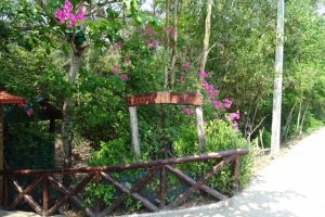 Sunderban Tiger Camp, Sundarbans, reis, bootsafari